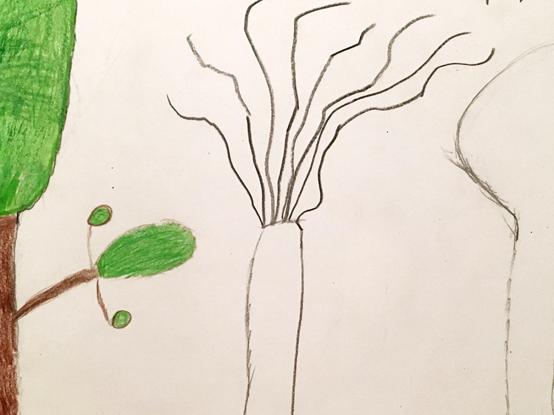 IMG_0993 copy copy.jpg