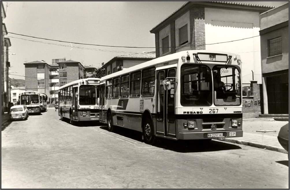 12247741_523207907855676_6962786662164462786_o