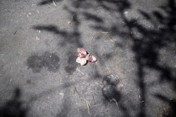 D5PP_20160503 (155)15